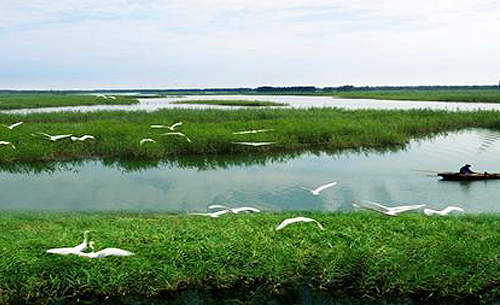 楚湘生態(tài)園.jpg